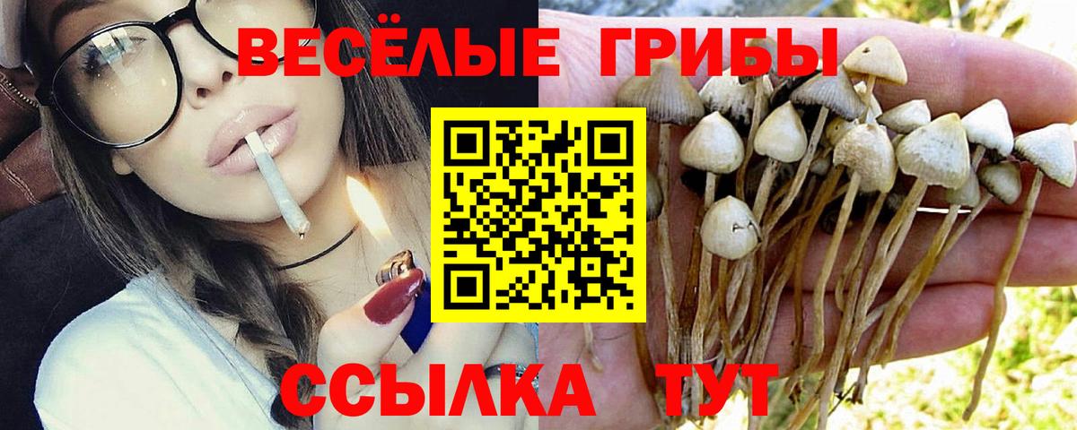 Псилоцибиновые грибы Magic Shrooms  наркота  Ирбит  Вход с VPN 